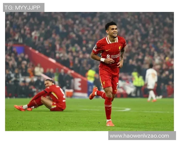 足球明星与鹞子之间的奇妙联系及相关图片赏析