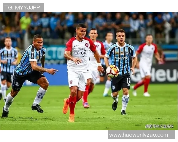 圣塔菲联与河床的激烈对决揭示阿根廷足球的魅力与竞争力