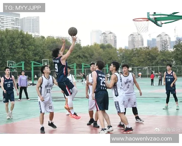 篮球场上的男明星风采尽显他们的魅力与激情照片集锦